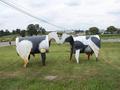 #10: Metal "animals" seen in front of the Haggersville Auction Center on Highway 6.