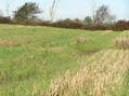 #6: View to the west from the confluence.