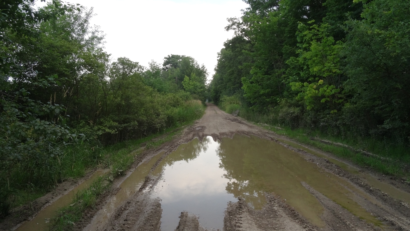 parking in front of a puddle