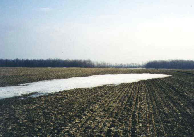 facing south: the bush by the highway