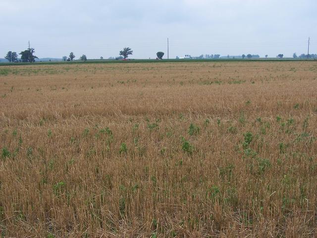 Looking West with Highway 21 in the distance.