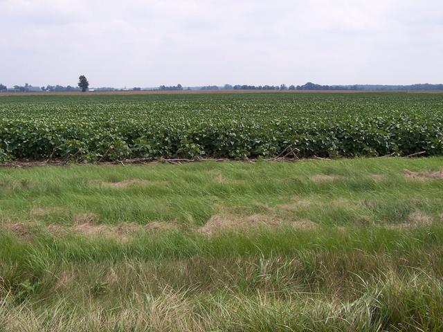 Overview from Highway 21, 300 m from the confluence.