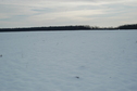 #3: South towards the 402