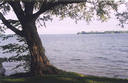 #2: View towards Waupoos Island