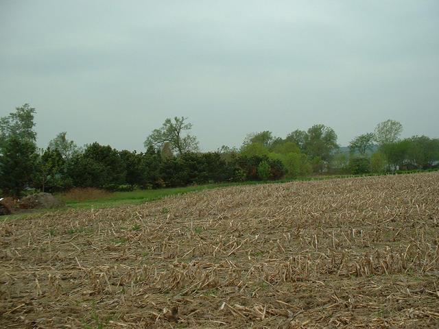 The confluence point from 29 metres away.