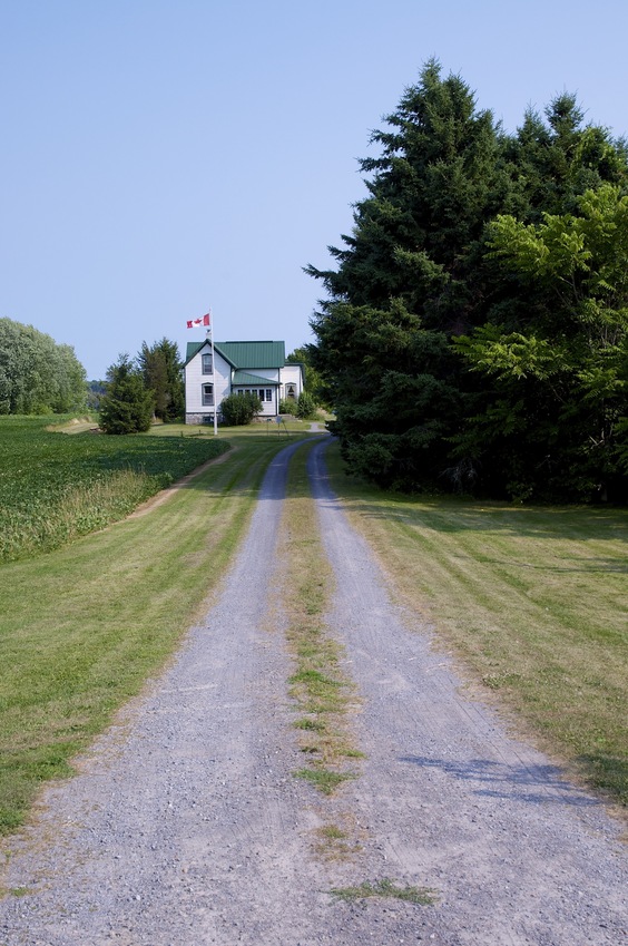 Looking south along Lodge Lane, about 175 metres north of the confluence point, which lies in a field behind the large tree