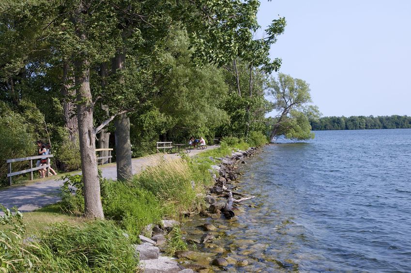 "Lake in the Mountain Provincial Park", just a few km from the confluence point