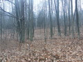 #5: Blick nach Westen / View west