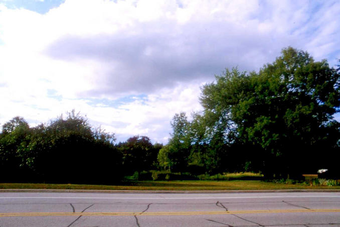 Looking north from the confluence.