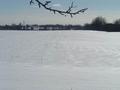 #4: Looking South