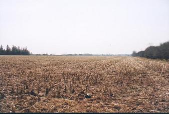 #1: Confluence at 44N 79W looking south