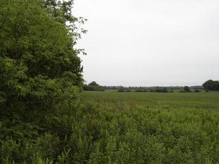 #1: Facing south; confluence is on the right less than 100 m away.