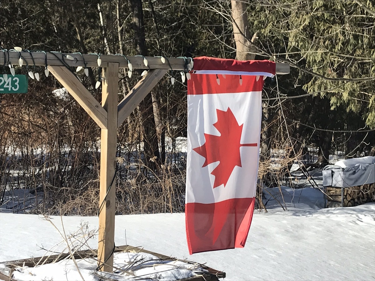 Canadian flag flying near the road a few hundred meters west of the confluence point. 
