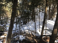 #5: View to the north from the confluence point. 