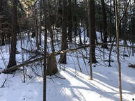 #7: View to the south from the confluence point. 