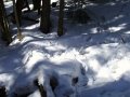 #4: West View