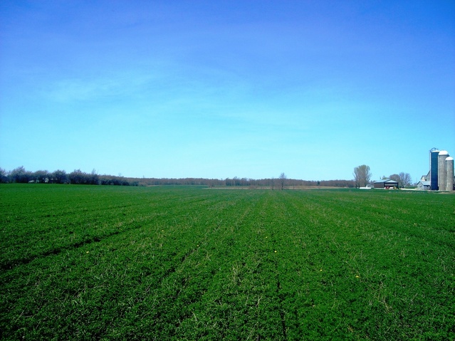 Vista hacia el Sur - View to the South