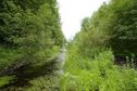 #10: Looking South from the path (beside the swampy ditch), 25 metres West of the confluence point