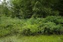 #9: Looking East from the path (across the swampy ditch) towards the confluence point, 25 metres away