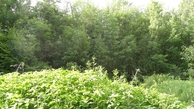 #2: #02 view to north