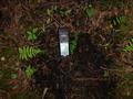 #7: Deer (?) hoof print near confluence