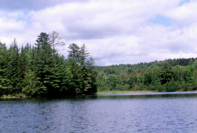 Looking north from the confluence.