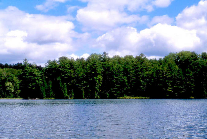 Looking east from the confluence.