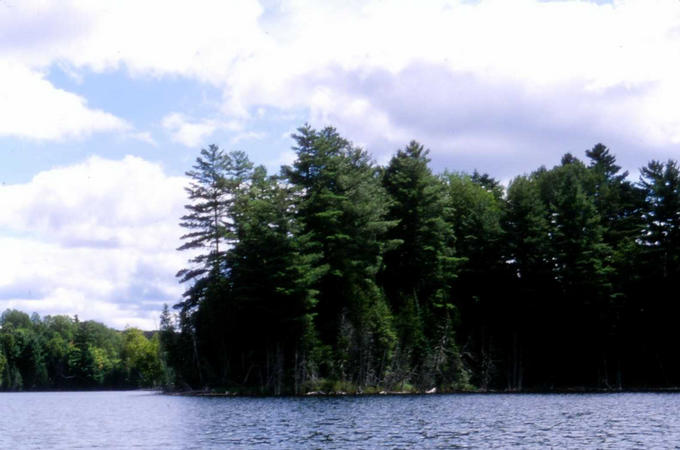 Looking south from the confluence.
