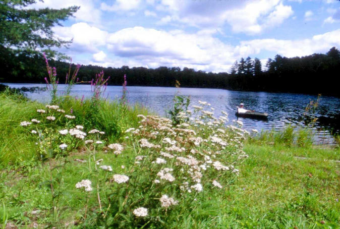 Wildflowers on the shore and Mark returning in his boat.
