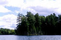 #7: Looking south from the confluence.