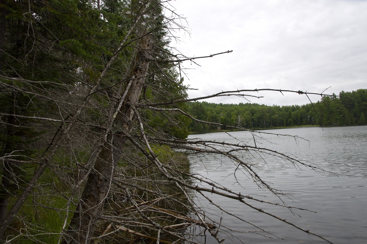 View North from the tip of the peninsula (94 metres West of the confluence point)