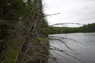 #2: View North from the tip of the peninsula (94 metres West of the confluence point)