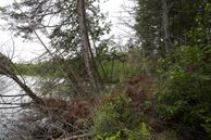 #3: View South from the tip of the peninsula (94 metres West of the confluence point)