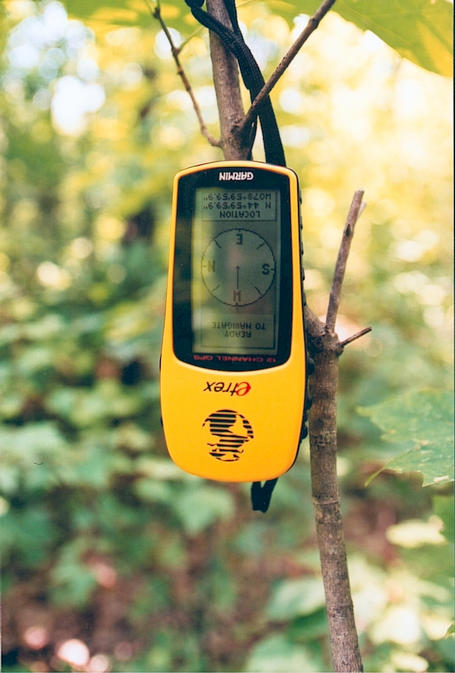 Closeup of GPS, hanging upside down on tree.