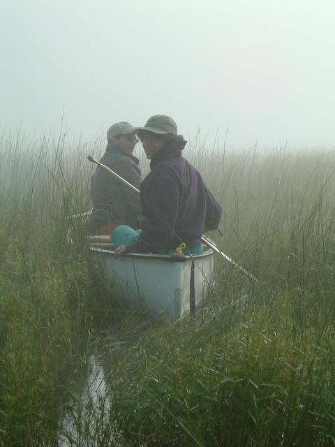 Misty morning