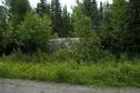 #8: A view towards the confluence point from the nearby road - less than 70 metres away