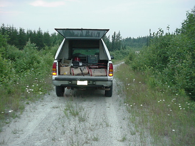 View North along Logging Road