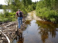 #7: Beaver dam on forest road