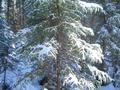 #4: South direction