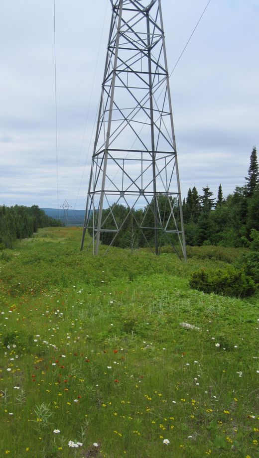 Corridor With Powerline Plyon