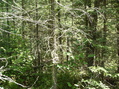 #3: East