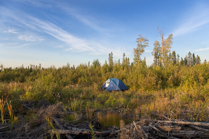 Our tent near logging road