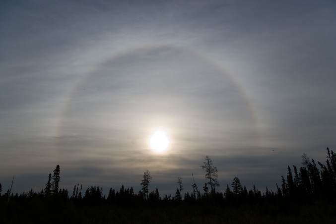 Morning halo