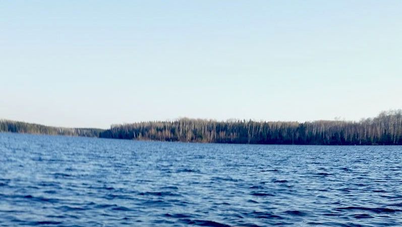 Looking south from the confluence point