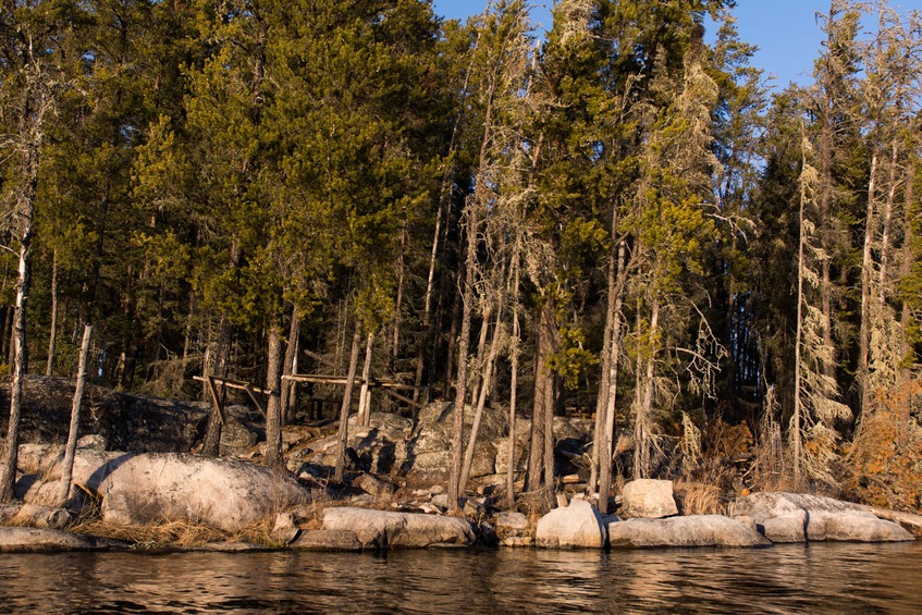 Signs of a fish filleting station and camp spot nearby