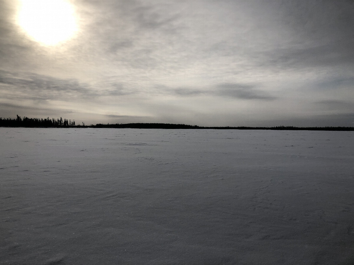 View South from confluence