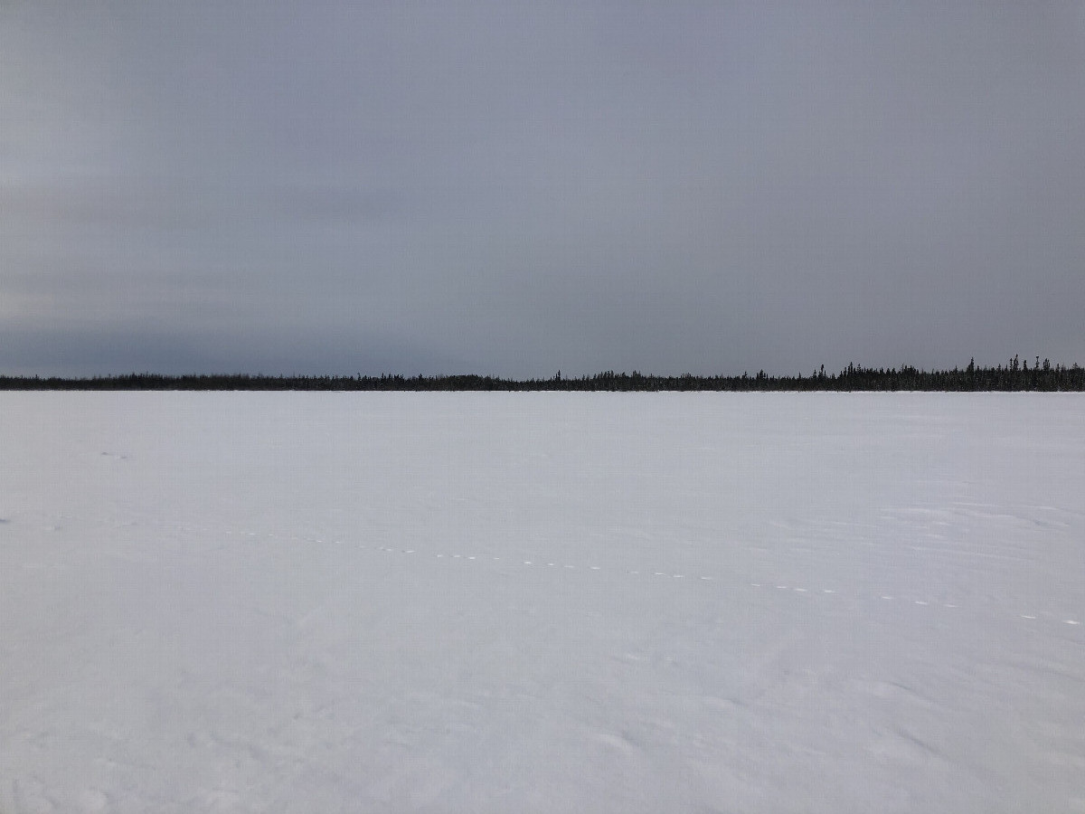 View West from confluence