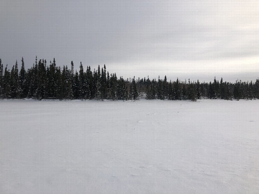 #1: View East from confluence