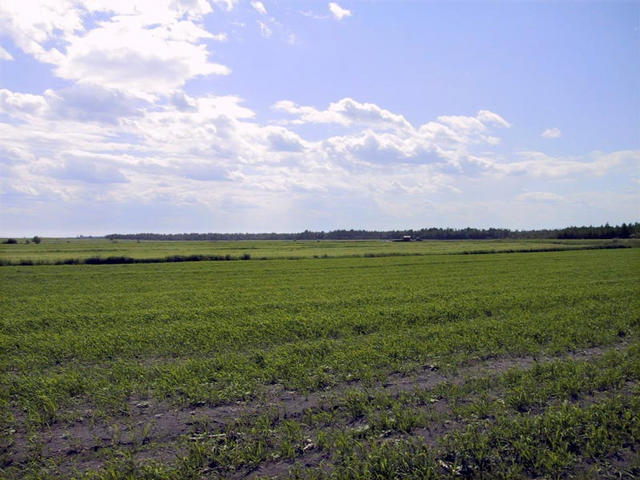Looking west