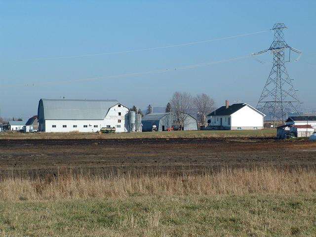 Ferme du proprio / Land owner's farm